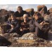 CRANBERRIES Ridiculous Thoughts (Island Records – 854 423-2) Europe 1995 CD-EP (Pop Rock) CRANBERRIES Ridiculous Thoughts (Island Records – 854 423-2) Europe 1995 CD-EP (Pop Rock)